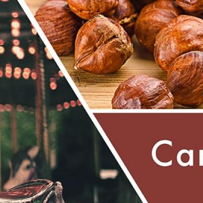  vonná svíčka GOOSE CREEK carnival pralines 680g 