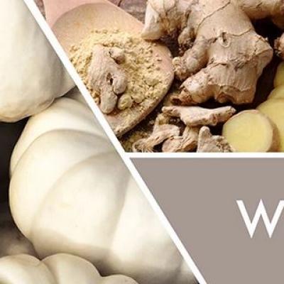  vonný vosk GOOSE CREEK White Pumpkin 59g 