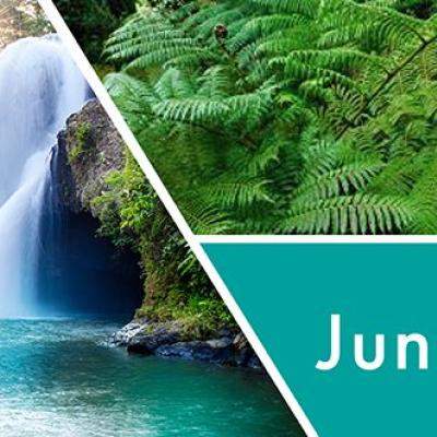  vonná svíčka GOOSE CREEK  Jungle Adventure 680g 