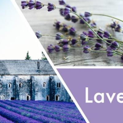  vonný vosk GOOSE CREEK Lavender de France 59g 