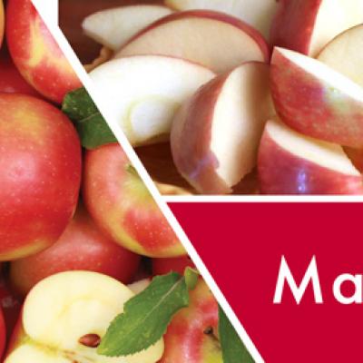 vonná svíčka GOOSE CREEK Macintosh Apple 680g limitovaná edice 