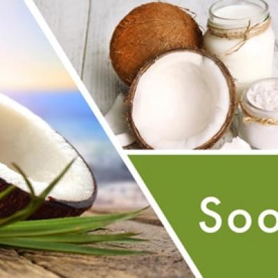  vonný vosk GOOSE CREEK Soothing Coconut 59g 