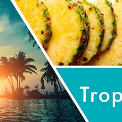 vonná svíčka GOOSE CREEK Tropical Daydream 680g 