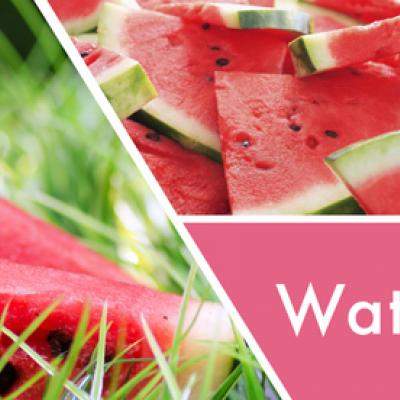  vonná svíčka GOOSE CREEK Watermelon Patch 680g 