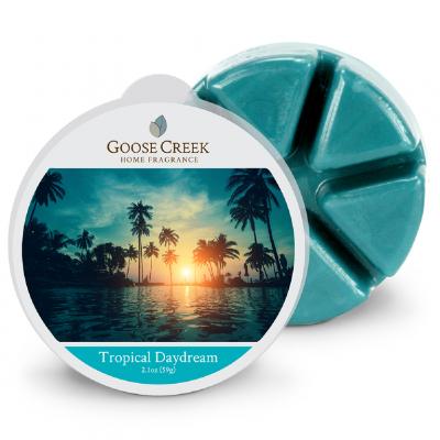  vonný vosk GOOSE CREEK Tropical Daydream 59g 